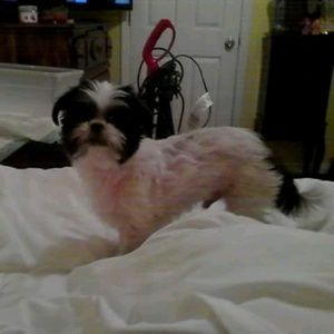 Meet your Posher, Elisa